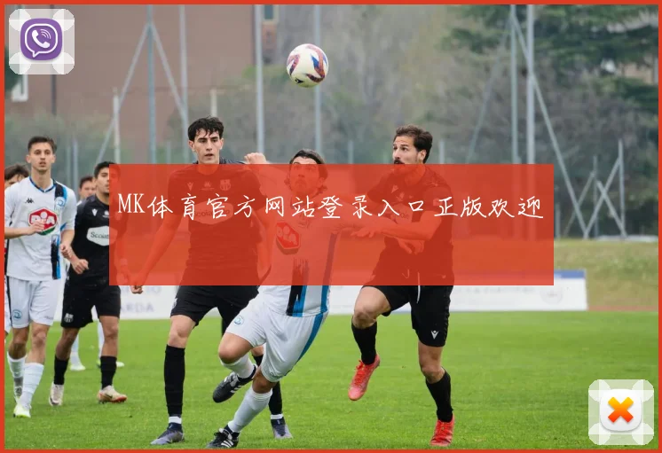 MK体育官方网站登录入口正版欢迎
